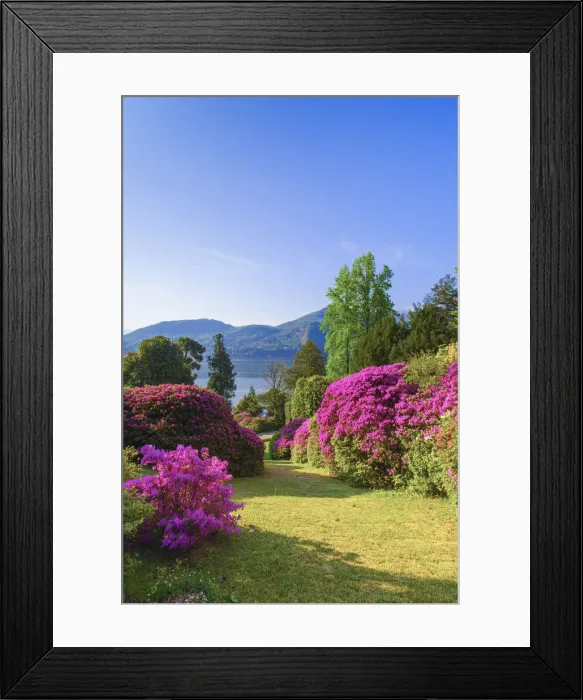 Framed Print : Villa Carlotta, Tremezzo, Como lake, Lombardy, Italy