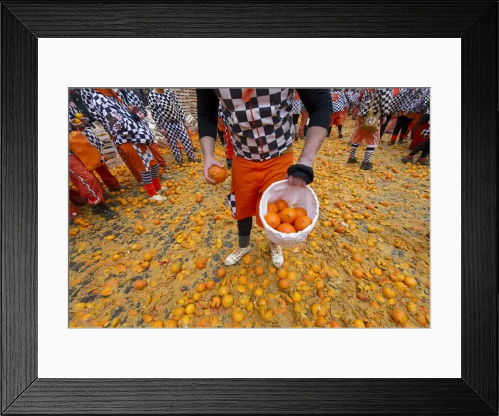 Framed Print : Guys pick oranges from the ground to prepare the next attack Framed Print : Guys pick oranges from the ground to prepare the next attack