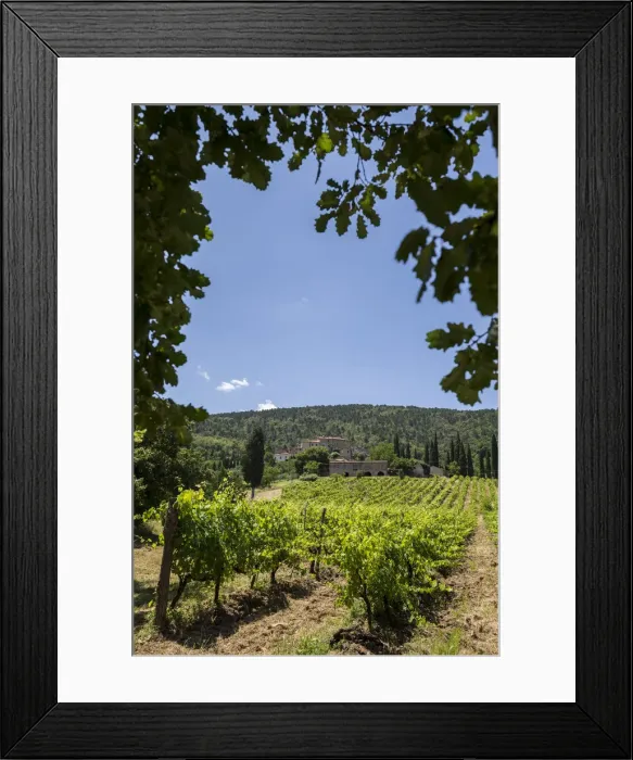 Framed Print : Italy. Tuscany. Siena District Framed Print : Italy. Tuscany. Siena District