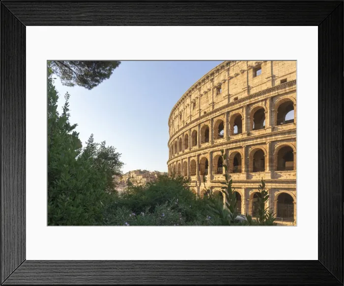 Framed Print : Italy, Latium, Lazio. Rome, Roma. The Colosseum Framed Print : Italy, Latium, Lazio. Rome, Roma. The Colosseum