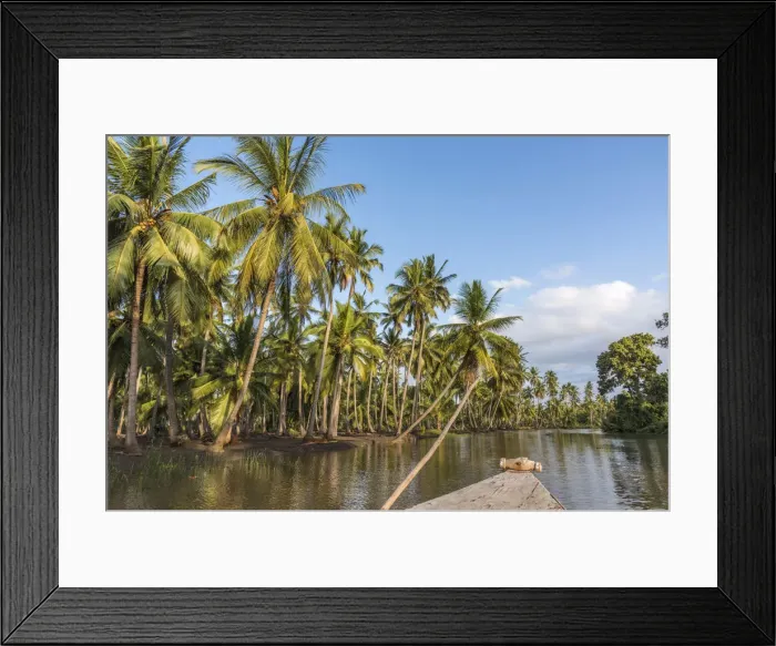 Framed Print : Africa, Tanzania, Tanga, Pangani. A boat excursion on the Pangani river Framed Print : Africa, Tanzania, Tanga, Pangani. A boat excursion on the Pangani river