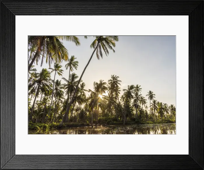 Framed Print : Africa, Tanzania, Tanga, Pangani. A boat excursion on the Pangani river Framed Print : Africa, Tanzania, Tanga, Pangani. A boat excursion on the Pangani river