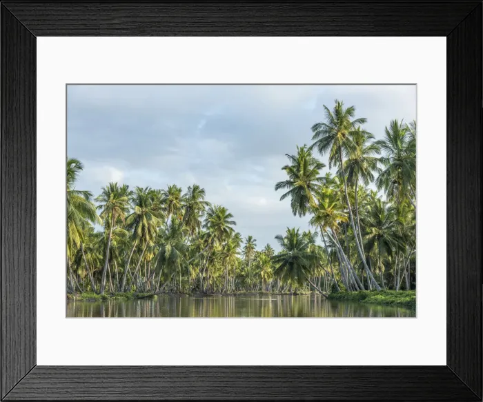 Framed Print : Africa, Tanzania, Tanga, Pangani. A boat excursion on the Pangani river Framed Print : Africa, Tanzania, Tanga, Pangani. A boat excursion on the Pangani river