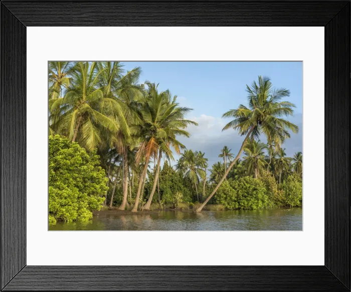 Framed Print : Africa, Tanzania, Tanga, Pangani. A boat excursion on the Pangani river