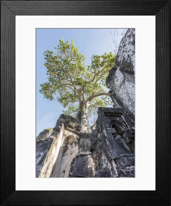 Framed Print : Africa, Tanzania, Lindi region. The ruins of Songo Mnara