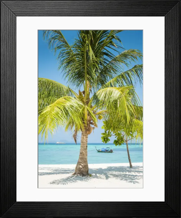 Framed Print : Ko Lipe, Satun Province, Thailand. Palm tree on white sand beach Framed Print : Ko Lipe, Satun Province, Thailand. Palm tree on white sand beach