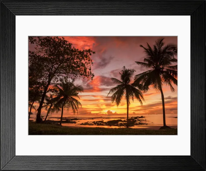 Framed Print : Palm Trees at Sunset, Khao Lak, Phang-nga, Thailand, Asia Framed Print : Palm Trees at Sunset, Khao Lak, Phang-nga, Thailand, Asia