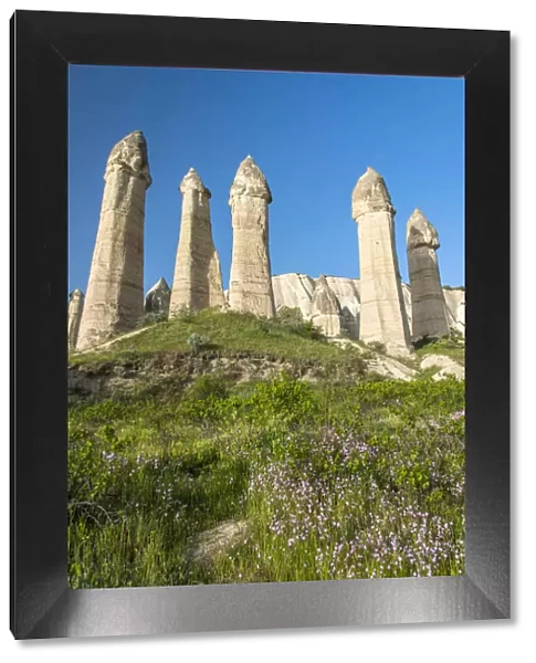Scenic fairy chimneys landscape in springtime, Goreme, Cappadocia, Turkey