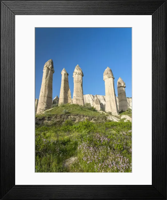 Framed Print : Scenic fairy chimneys landscape in springtime, Goreme, Cappadocia, Turkey Framed Print : Scenic fairy chimneys landscape in springtime, Goreme, Cappadocia, Turkey
