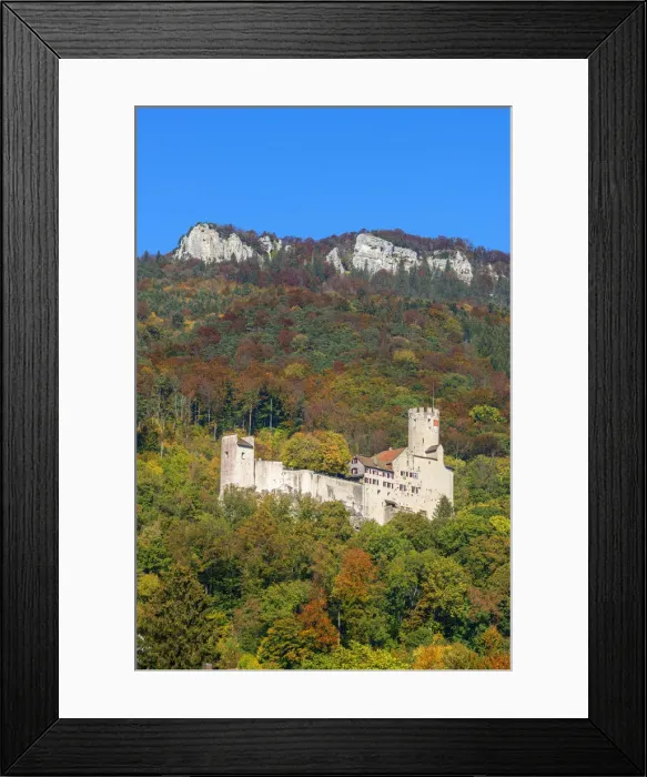 Framed Print : Castle Neu-Bechburg, Oensingen, Solothurn, Switzerland Framed Print : Castle Neu-Bechburg, Oensingen, Solothurn, Switzerland