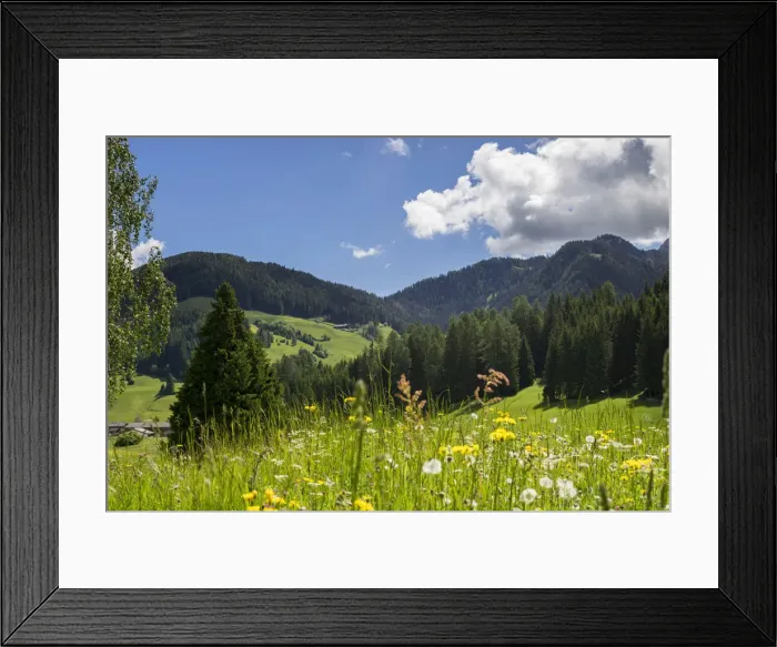 Framed Print : Italy, Trentino-Alto Adige Alps, Dolomites Bolzano district Fanes Sennes Braies Natural Framed Print : Italy, Trentino-Alto Adige Alps, Dolomites Bolzano district Fanes Sennes Braies Natural