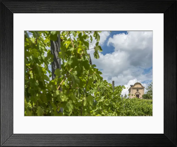 Framed Print : italy, Piedmont, chapel in the vineyards near to Castelnuovo Don Bosco Framed Print : italy, Piedmont, chapel in the vineyards near to Castelnuovo Don Bosco