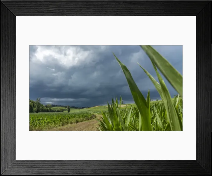 Framed Print : Italy, Piedmont, a thunderstorm over the cornfield Framed Print : Italy, Piedmont, a thunderstorm over the cornfield