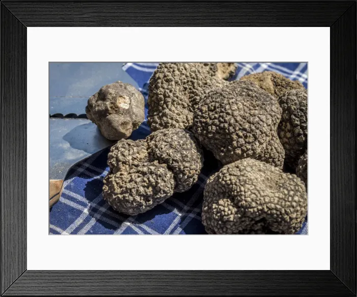 Framed Print : italy, Piedmont, black summer truffles Framed Print : italy, Piedmont, black summer truffles