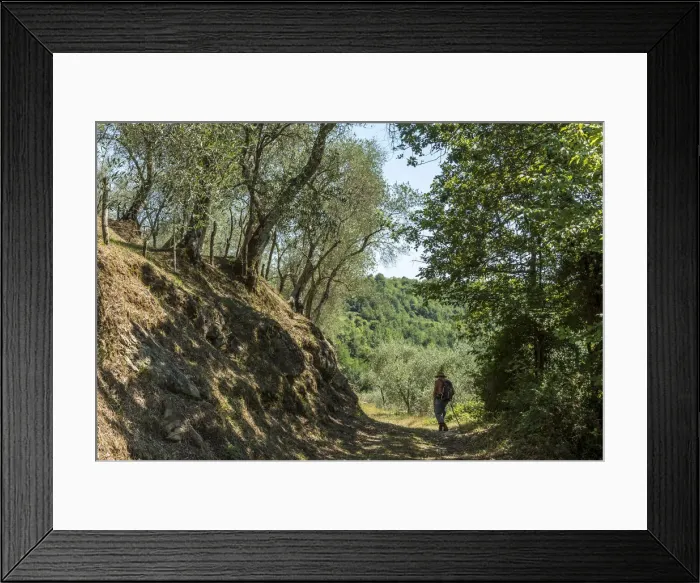 Framed Print : Europe, italy, Tuscany. Hiking on the Via Francigena
