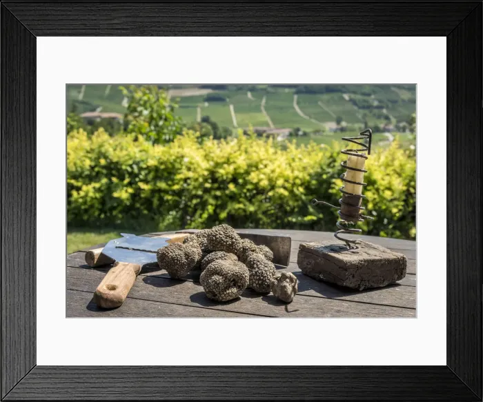 Framed Print : italy, Piedmont, black summer truffles Framed Print : italy, Piedmont, black summer truffles