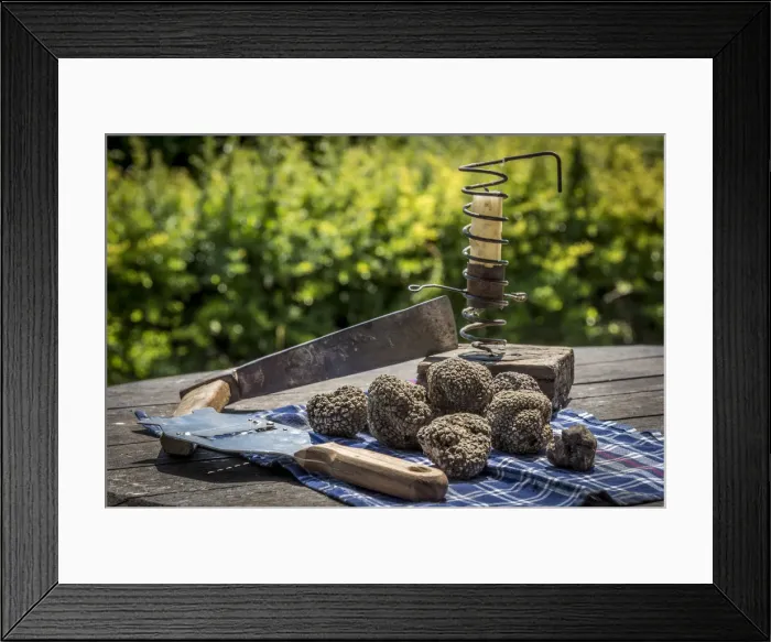 Framed Print : italy, Piedmont, black summer truffles Framed Print : italy, Piedmont, black summer truffles