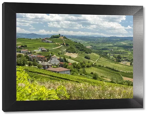 italy, Piedmont, the panorama point of Bricco Lu near to Costigliole d Asti