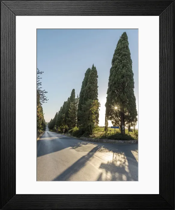 Framed Print : Italy, Tuscany, the Alley of Cypresses near to Bolgheri