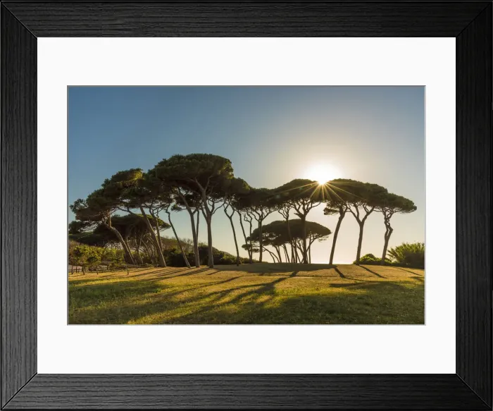 Framed Print : Italy, Tuscany, the beach at Golfo di Baratti at sunset