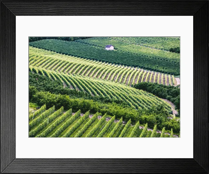 Framed Print : Serralunga d Alba, Barolo wine region, Langhe, Piedemont, Italy Framed Print : Serralunga d Alba, Barolo wine region, Langhe, Piedemont, Italy