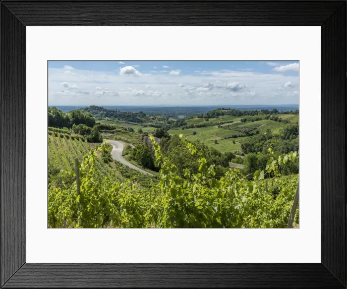 Framed Print : Italy, Piedmont, view through the vineyards towards Castelnuovo Don Bosco Framed Print : Italy, Piedmont, view through the vineyards towards Castelnuovo Don Bosco