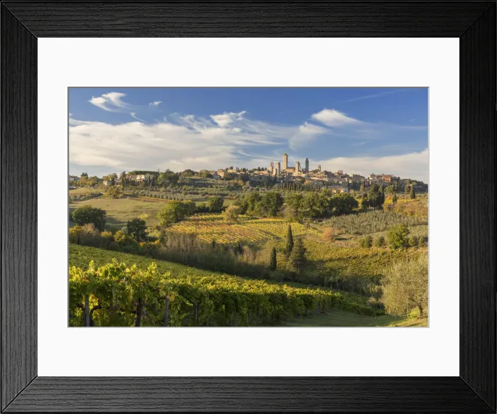 Framed Print : San Gimignano surrounded by vines in the autumn, Tuscany, Italy Framed Print : San Gimignano surrounded by vines in the autumn, Tuscany, Italy