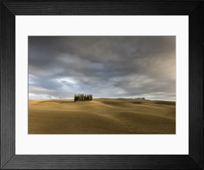 Framed Print : Cypress trees surrounded by ploughed fields with a stormy sky, Val d Orcia, Tuscany Framed Print : Cypress trees surrounded by ploughed fields with a stormy sky, Val d Orcia, Tuscany