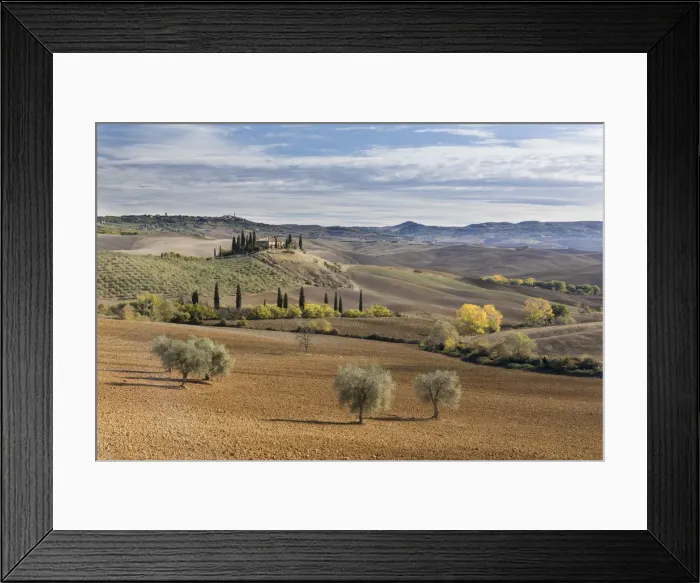 Framed Print : A farmhouse surrounded by olive trees, cypress trees and ploughed fields in the autumn Framed Print : A farmhouse surrounded by olive trees, cypress trees and ploughed fields in the autumn