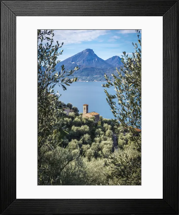 Framed Print : europe, Italy, Veneto. view through olives groves towards the Garda lake and the little Framed Print : europe, Italy, Veneto. view through olives groves towards the Garda lake and the little