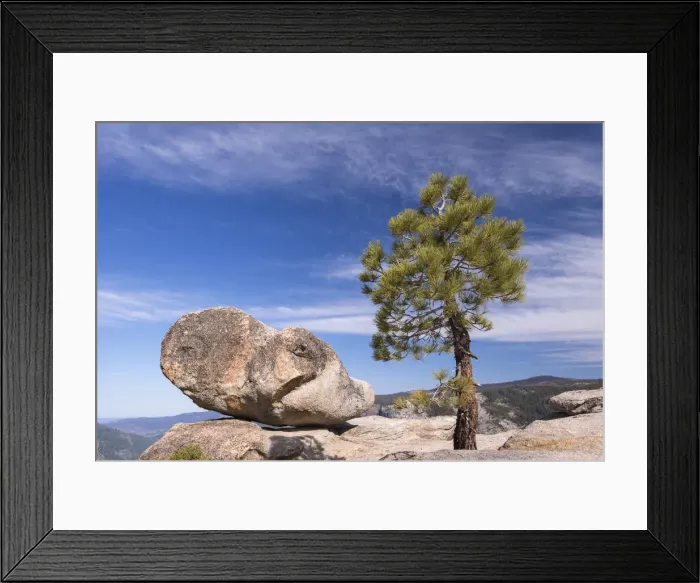 Framed Print : Lone pine tree and boulder on Taft Point above Yosemite Valley, California, USA. Spring Framed Print : Lone pine tree and boulder on Taft Point above Yosemite Valley, California, USA. Spring