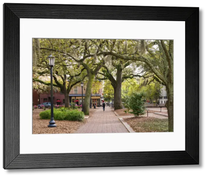 Framed Print : USA, Georgia, Savannah, Typical square in the Historical district Framed Print : USA, Georgia, Savannah, Typical square in the Historical district
