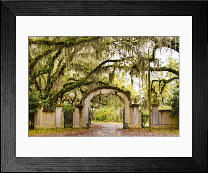 Framed Print : USA, Georgia, Savanah, Gateway and tree lined drive way at the Wormsloe Plantation Framed Print : USA, Georgia, Savanah, Gateway and tree lined drive way at the Wormsloe Plantation