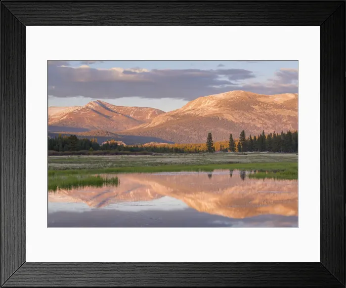 Framed Print : Tuolumne Meadows at sunset, Yosemite National Park, California, USA. Spring (June) 2015 Framed Print : Tuolumne Meadows at sunset, Yosemite National Park, California, USA. Spring (June) 2015