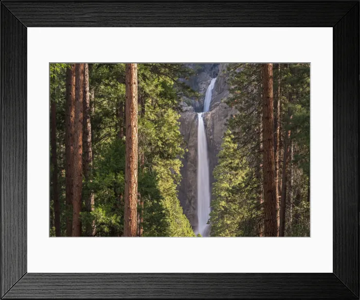 Framed Print : Lower Yosemite Falls through the conifer trees of Yosemite Valley, California, USA Framed Print : Lower Yosemite Falls through the conifer trees of Yosemite Valley, California, USA