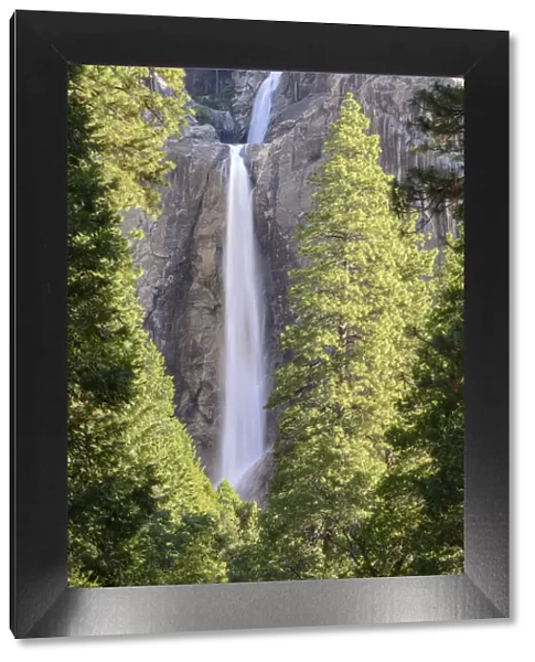 Lower Yosemite Falls in Yosemite Valley, Califorinia, USA. Spring (June) 2015
