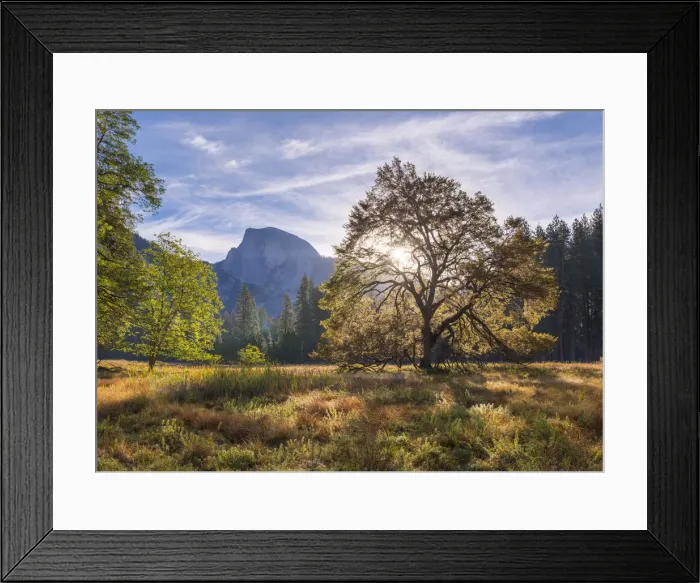 Framed Print : Half Dome from Cooks Meadow, Yosemite Valley, California, USA. Autumn (October) 2015 Framed Print : Half Dome from Cooks Meadow, Yosemite Valley, California, USA. Autumn (October) 2015