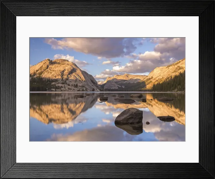 Framed Print : Late evening sunlight turns the granite mountains above Tenaya Lake to gold, Yosemite Framed Print : Late evening sunlight turns the granite mountains above Tenaya Lake to gold, Yosemite