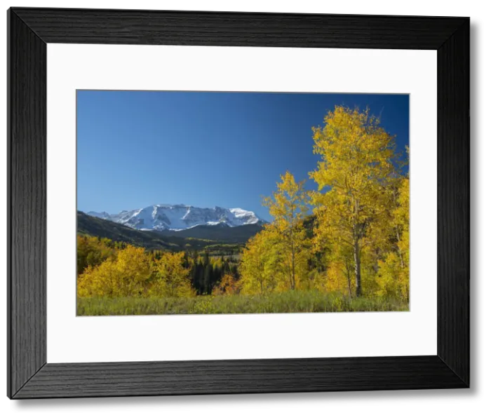 Framed Print : USA, Colorado, San Juan Mountain range in the fall near Montrose Framed Print : USA, Colorado, San Juan Mountain range in the fall near Montrose