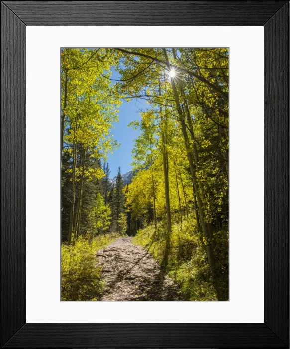 Framed Print : USA, Colorado, San Miguel County, San Juan Mountains, Telluride in autumn Framed Print : USA, Colorado, San Miguel County, San Juan Mountains, Telluride in autumn
