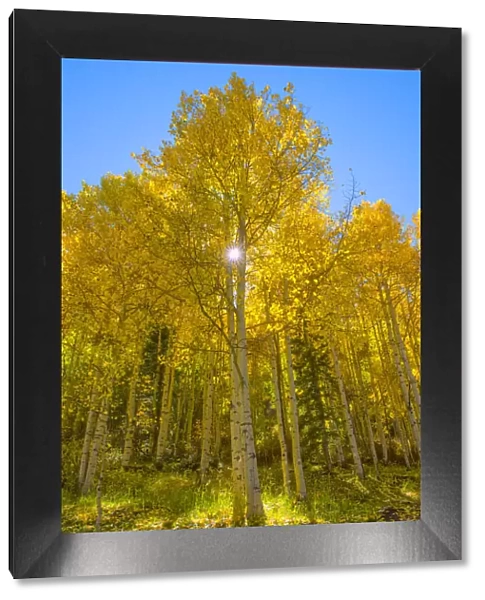 USA, Colorado, San Miguel County, San Juan Mountains, Telluride in Autumn
