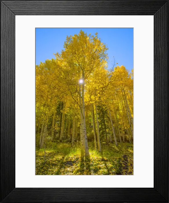 Framed Print : USA, Colorado, San Miguel County, San Juan Mountains, Telluride in Autumn Framed Print : USA, Colorado, San Miguel County, San Juan Mountains, Telluride in Autumn