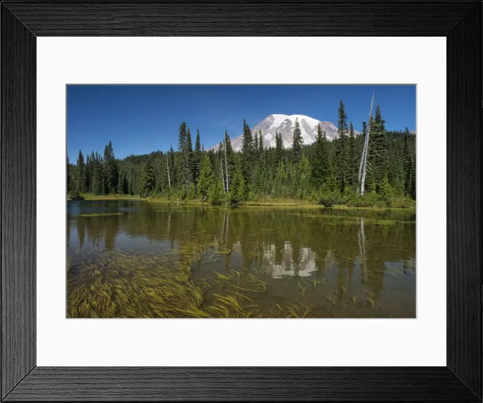 Framed Print : USA, Washington, Mount Rainier National Park, Reflection of Mt. Rainier Framed Print : USA, Washington, Mount Rainier National Park, Reflection of Mt. Rainier