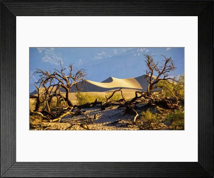 Framed Print : Mesquite flat dunes, Death Valley National Park, California, USA Framed Print : Mesquite flat dunes, Death Valley National Park, California, USA