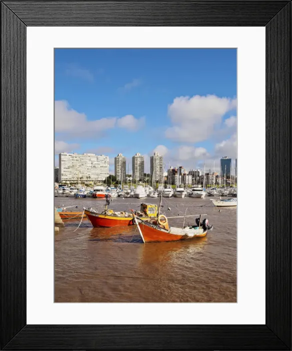 Framed Print : Uruguay, Montevideo, Little Port in Buceo Neighbourhood