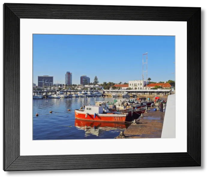 Framed Print : Uruguay, Maldonado Department, Punta del Este, View of the harbour Framed Print : Uruguay, Maldonado Department, Punta del Este, View of the harbour