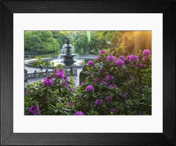 Framed Print : USA, East Coast, New York, Manhattan, Upper Westside, Central Park, Bethesda fountain Framed Print : USA, East Coast, New York, Manhattan, Upper Westside, Central Park, Bethesda fountain