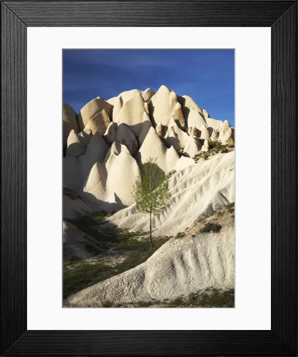 Framed Print : Lone Tree & Eroded Tufa Formations, near Goreme, Cappadocia, Turkey Framed Print : Lone Tree & Eroded Tufa Formations, near Goreme, Cappadocia, Turkey