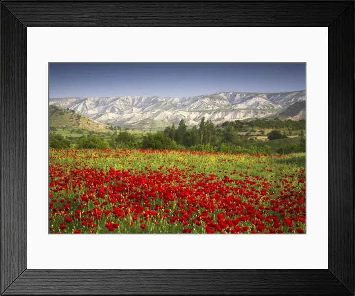 Framed Print : Field of Poppies, near Adiyaman, Turkey Framed Print : Field of Poppies, near Adiyaman, Turkey