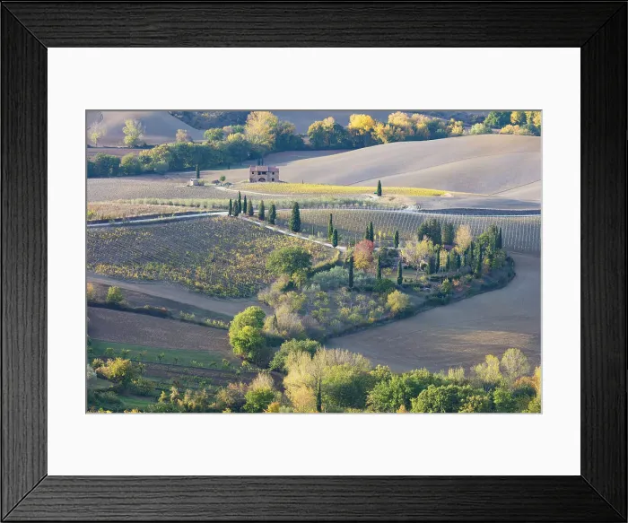 Framed Print : A farmhouse surrounded by vines and ploughed fields in the autumn, Montepulciano Framed Print : A farmhouse surrounded by vines and ploughed fields in the autumn, Montepulciano